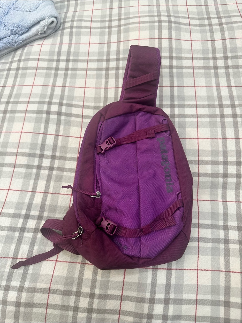 Patagonia Men's Sling Belt Bag in Purple and Plum